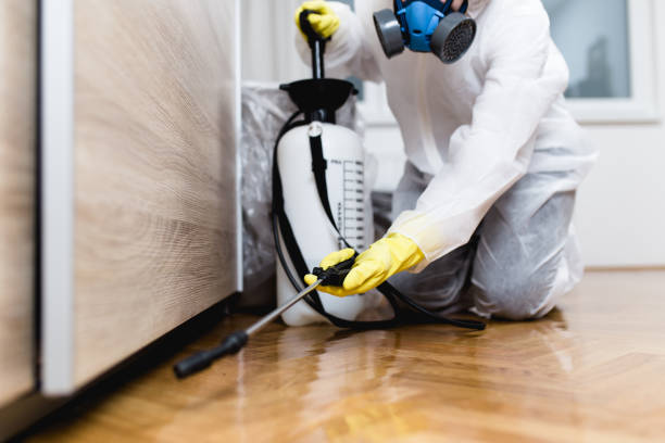 Best Pest Removal Services  in Young Harris, GA