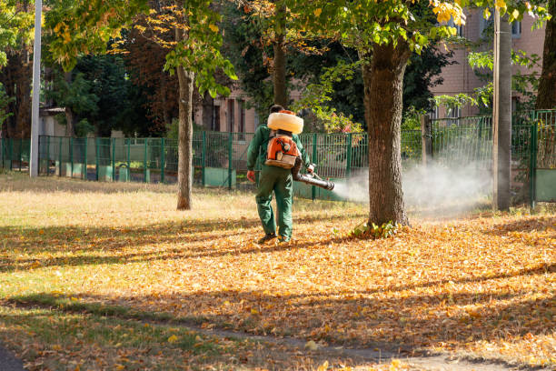 Best Exterminator Services  in Young Harris, GA